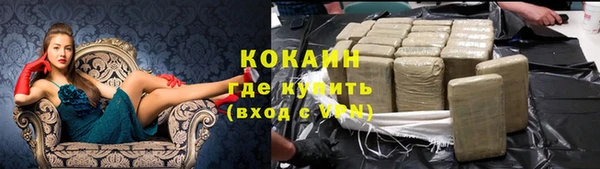 твердый Аркадак