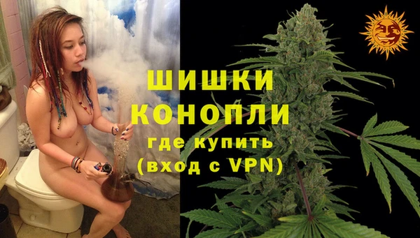 твердый Аркадак