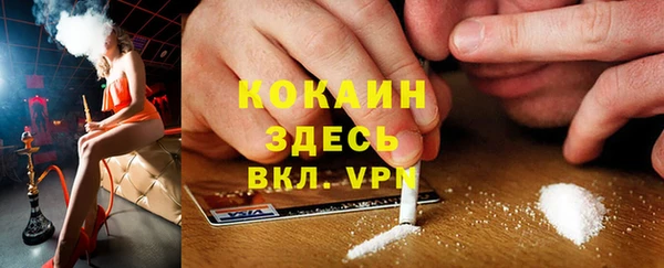 прущая мука Арсеньев