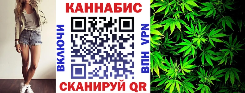 сколько стоит  Тайга  МАРИХУАНА сатива 